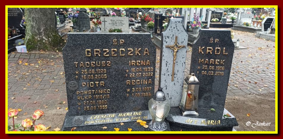 Grzeczka T.I.P.R.M.